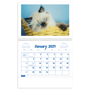 Triumph® Calendars Puppies & Kittens Pocket Calendar