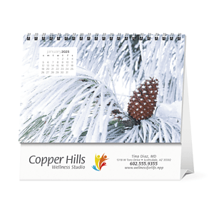 Triumph® Calendars Simplicity Large Desk Calendar