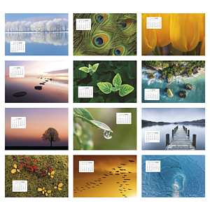 Triumph® Calendars Simplicity Large Desk Calendar