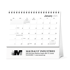 Triumph® Calendars Large Econo Desk Calendar