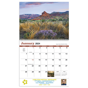 HotLine® Products Texas Appointment Calendar - Spiral