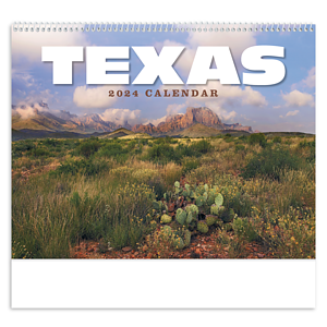 HotLine® Products Texas Appointment Calendar - Spiral