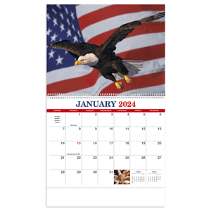 HotLine® Products America Appointment Calendar - Spiral