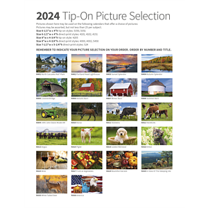 Triumph® Calendars Memo Appointment with Picture