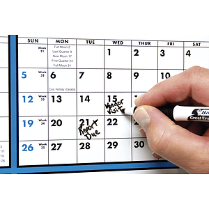 Triumph® Calendars Span-A-Year (Laminated with Marker) Calendar