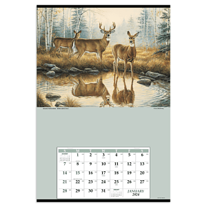 Triumph® Calendars Jumbo Hanger (12-Month) Calendar