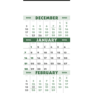 Triumph® Calendars 3-Month Planner (12 Sheet)