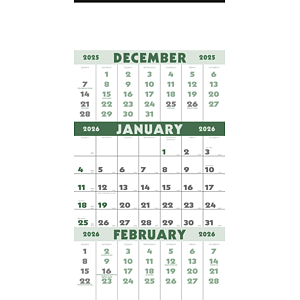 3-Month Planner (12 Sheet)