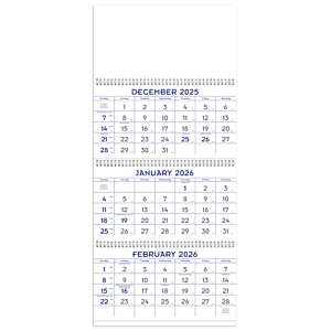 Blue  Grey Commercial Planner