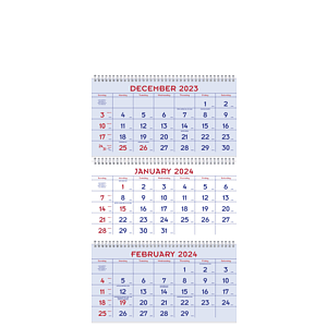 Triumph® Calendars Red & Blue Commercial Planner