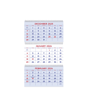 Red  Blue Commercial Planner
