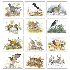 Good Value™ Wildlife Trek - Spiral Calendar