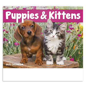 Good Value™ Puppies & Kittens - Spiral Calendar