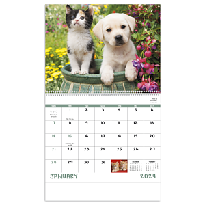 Good Value™ Puppies & Kittens - Spiral Calendar