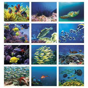 Good Value™ Ocean Glory - Spiral Calendar