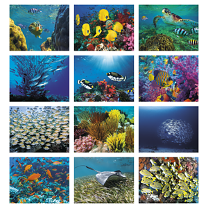 Good Value™ Ocean Glory - Spiral Calendar