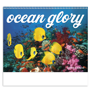 Good Value™ Ocean Glory - Spiral Calendar