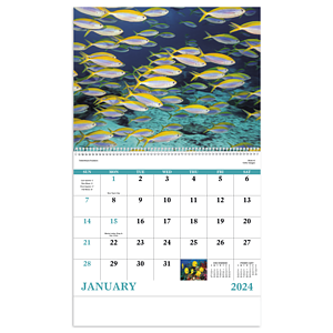 Good Value™ Ocean Glory - Spiral Calendar
