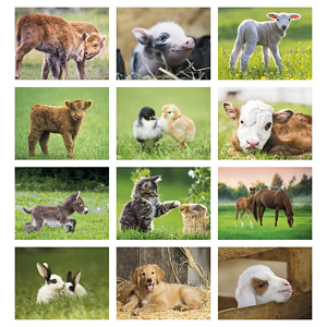 Good Value™ Baby Farm Animals - Spiral Calendar