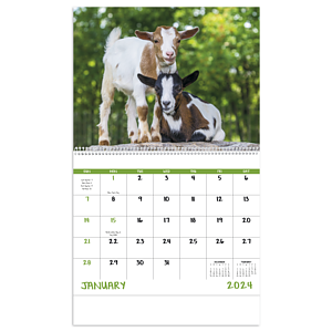 Good Value™ Baby Farm Animals - Spiral Calendar