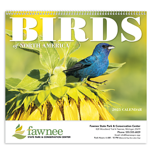 Good Value™ Birds of North America - Spiral Calendar