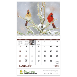 Good Value™ Birds of North America - Spiral Calendar