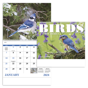 Good Value™ Birds of North America - Spiral Calendar