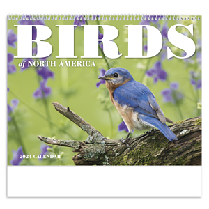 Good Value™ Birds of North America - Spiral Calendar