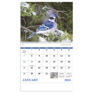 Good Value™ Birds of North America - Spiral Calendar