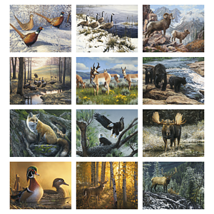 Good Value™ Wildlife Canvas - Spiral Calendar
