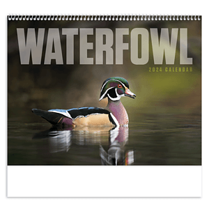 Good Value™ Waterfowl - Spiral Calendar