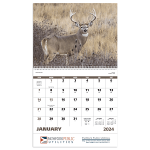 Good Value™ Wildlife Portraits - Spiral Calendar