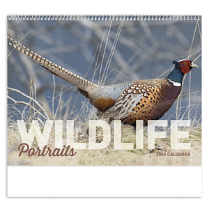 Good Value™ Wildlife Portraits - Spiral Calendar