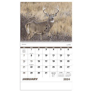 Good Value™ Wildlife Portraits - Spiral Calendar