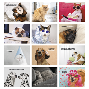 Good Value™ Pets with Attitude - Spiral Calendar
