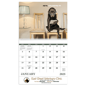 Good Value™ Pets with Attitude - Spiral Calendar
