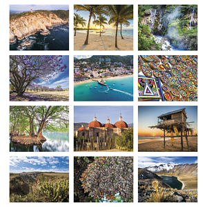 Good Value™ Mexico - Spiral Calendar