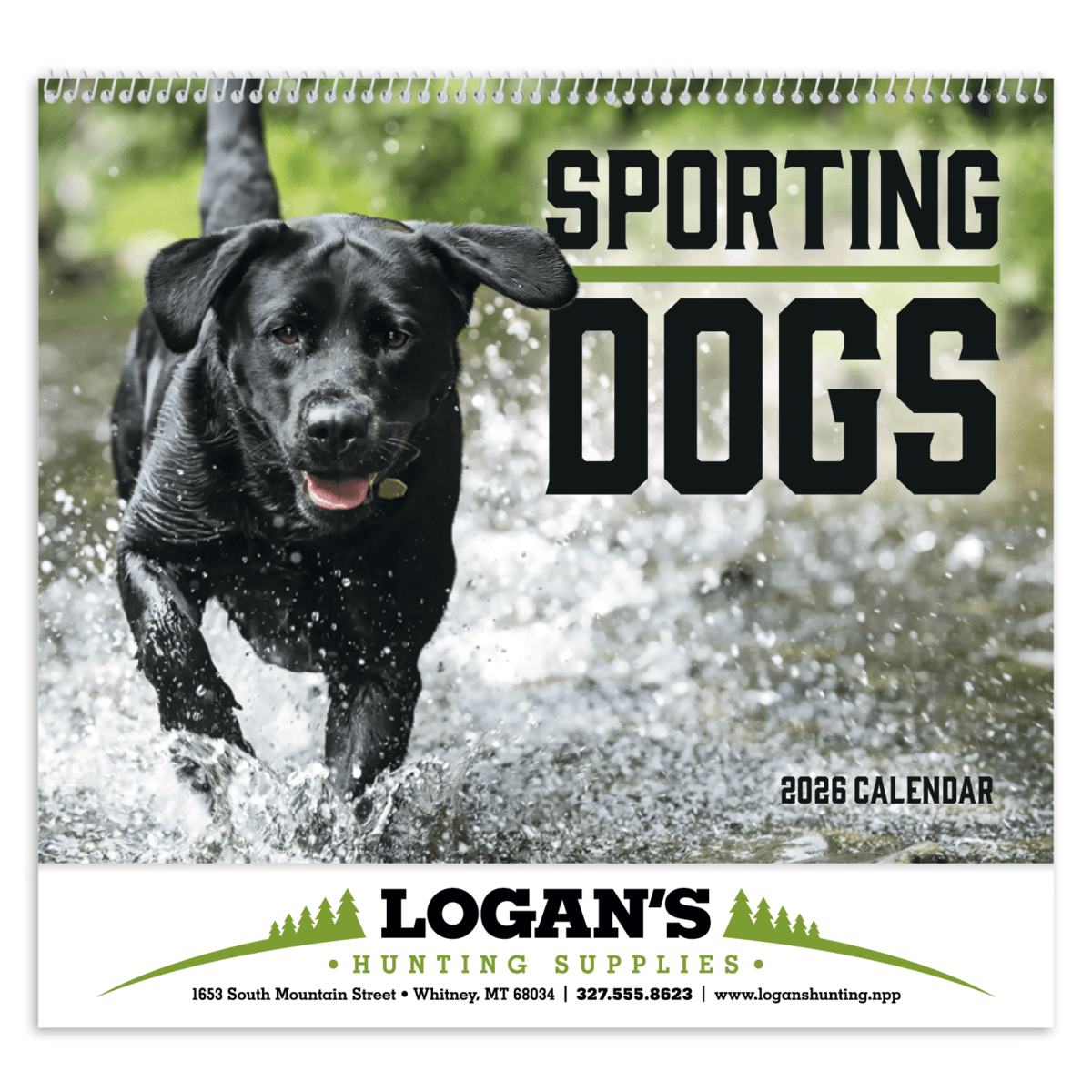 Good Value™ Sporting Dogs - Spiral Calendar