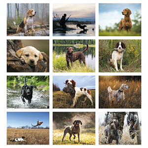 Good Value™ Sporting Dogs - Spiral Calendar