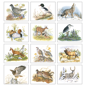 Good Value™ Wildlife Trek - Stapled Calendar