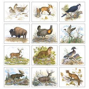 Good Value™ Wildlife Trek - Stapled Calendar