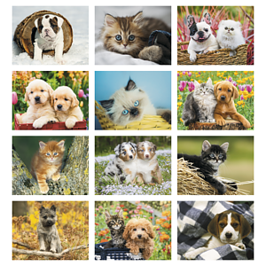 Good Value™ Puppies & Kittens - Stapled Calendar
