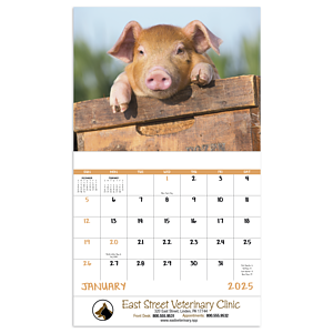 Good Value™ Baby Farm Animals - Stapled Calendar