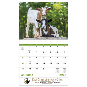 Good Value™ Baby Farm Animals - Stapled Calendar