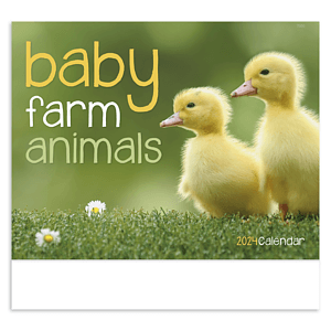 Good Value™ Baby Farm Animals - Stapled Calendar