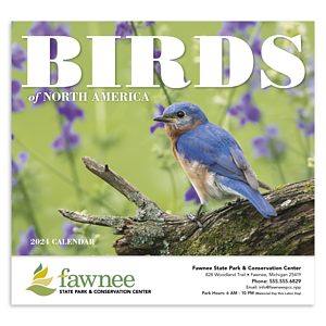 Good Value™ Birds of North America - Stapled Calendar