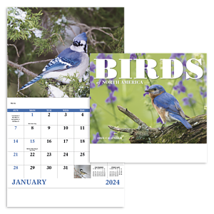 Good Value™ Birds of North America - Stapled Calendar