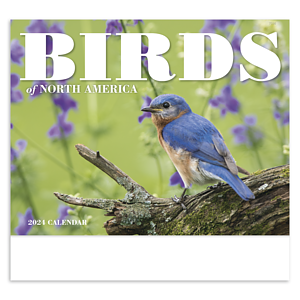 Good Value™ Birds of North America - Stapled Calendar
