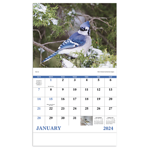 Good Value™ Birds of North America - Stapled Calendar