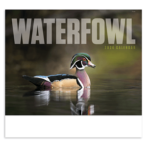 Good Value™ Waterfowl - Stapled Calendar